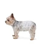 Amazon Basics Pañales desechables para perros...