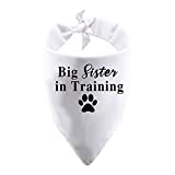 1 pieza Big Sister/Brother in Training Dog Bandana...