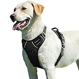 Eagloo Arnes Perro Grande Mediano antiescape,...