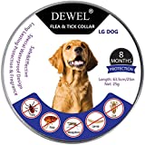 DEWEL Collar Perro/Gato contra Pulgas,Garrapatas y...