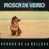 Perros de la Belleza