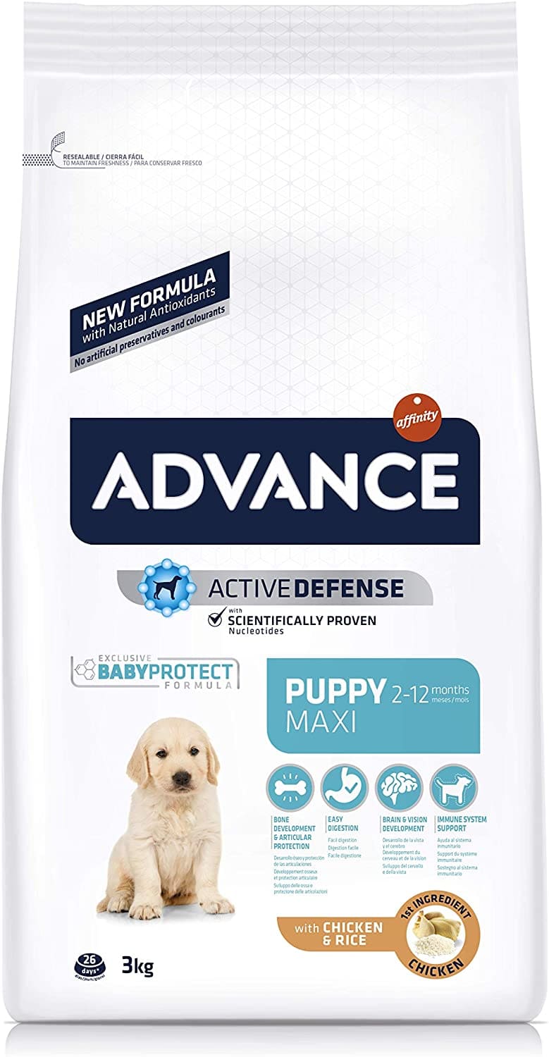 Advance Maxi Puppy Large Breed Puppies