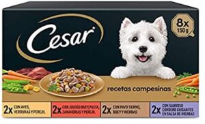 Cesar Comida Húmeda para Perros, Selección Recetas Campesinas en Salsa, Multipack