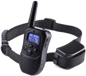 Dog Training Collar