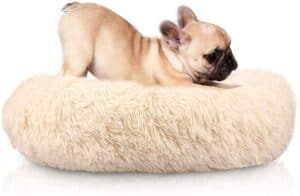 Cozywind Cama para Perros y Gato