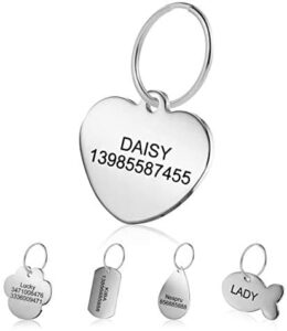Custom Custom Dog Tags Front-Back Engraving for Cat and Dog with Different Shapes