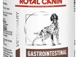 Royal Canin Gastrointestinal- Comida para perros de edad adulta, 400 g