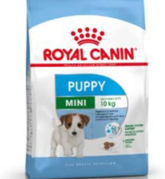 Royal canin mini junior