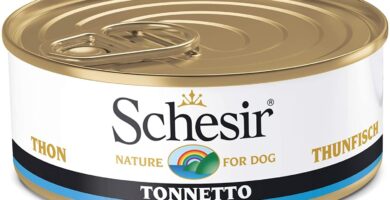Schesir, Comida húmeda para Perros Adultos, Sabor bacoreta en gelatina Blanda - Total 2,7 kg (18 latas x 150 gr)