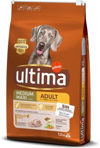 latest Adult Medium-Maxi Dog Food with Chicken