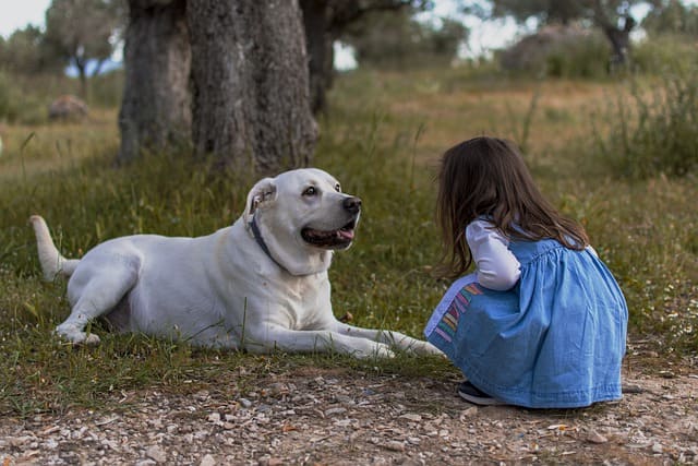 niña y perro