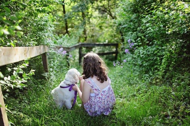 Child and dog