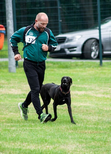 perro deporte