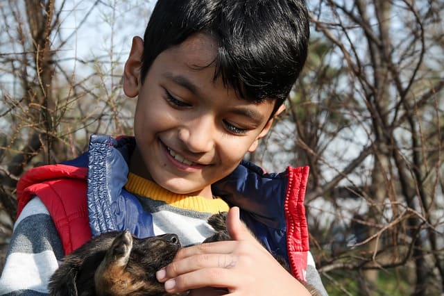 perro y niño