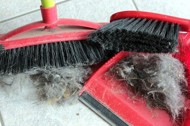 Home remedies for shedding hair in dogs